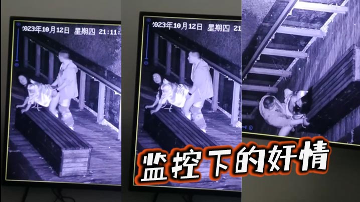 监控下的奸情.封面