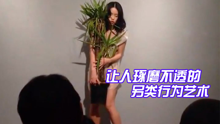 精品让人琢磨不透的另类行为艺术美女抱着一盆花穿着.透明衣服全场人鸦雀无声静静看着她表演封面