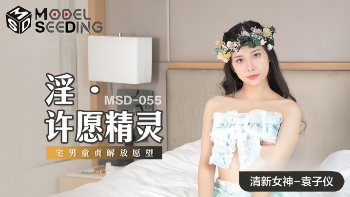 袁子仪MSD055淫许愿精灵封面