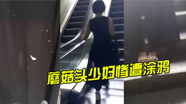 蘑菇头少妇惨遭涂鸦.封面