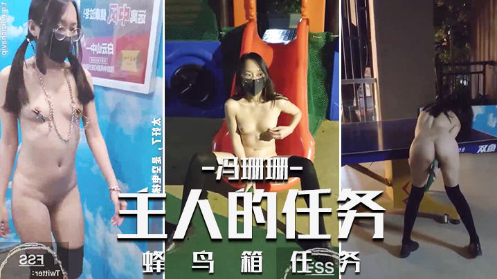 冯珊珊_主人的任务_蜂鸟箱任务.封面