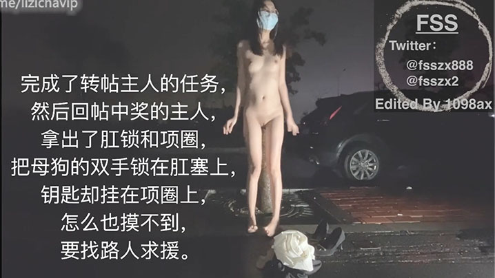 冯珊珊_主人的任务_肛锁求援.封面