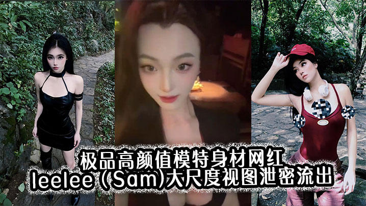 极品高颜值模特身材网红leeleeSam大尺度视.图泄密流出封面