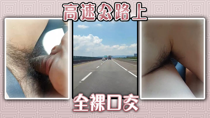 高速公路上全裸口交.封面