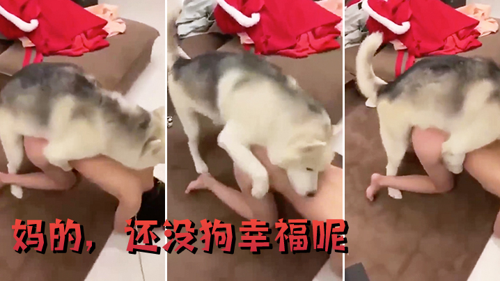 妈的还没狗幸福呢.封面