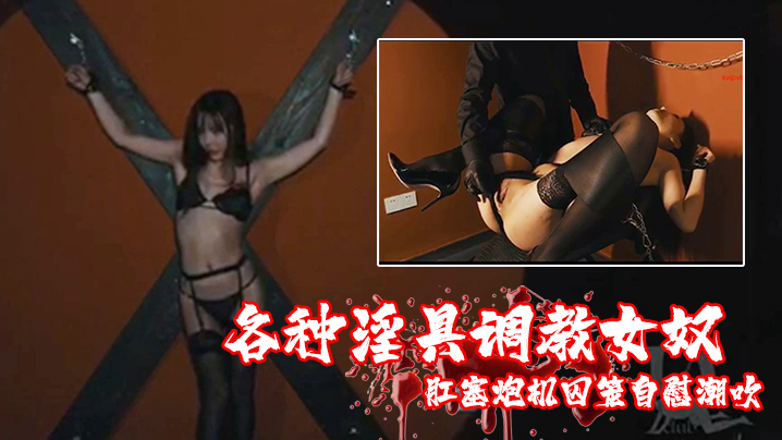 各种淫具调教女奴肛塞炮机囚笼自慰潮吹.封面