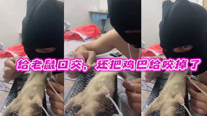 给老鼠口交还把鸡巴给咬掉了牛逼.封面