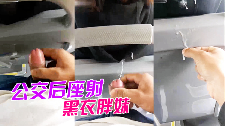 公交后座射黑衣胖妹.封面