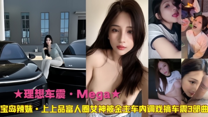 理想车震Mega宝岛辣妹上上品富人圈女神被金主车.内调戏搞车震3部曲封面