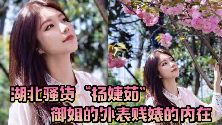 湖北骚货杨婕茹御姐的外表贱婊的内在到处玩弄男人感.情脚踏好几条船封面