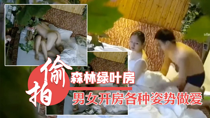 森林绿叶房高清偷拍两对男女开房各种姿势做爱.封面